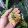 Lá Bồ Đề Ốp Lưng Điện Thoại- BÌNH AN & TÀI LỘC 12 lá bồ đề ốp lưng