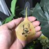 Lá Bồ Đề Ốp Lưng Điện Thoại- BÌNH AN & TÀI LỘC 10 lá bồ đề ốp lưng